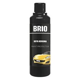 Brio 250 ml Boya Koruma
