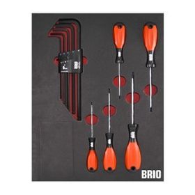 Brio Torx Seti ve Allen Seti Uzun 14 Parça Sünger Yataklı Tornavida