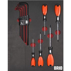 Brio Torx Seti ve Allen Seti Uzun 14 Parça Sünger Yataklı Tornavida
