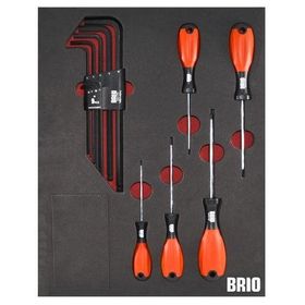 Brio Torx Seti ve Allen Seti Uzun 14 Parça Sünger Yataklı Tornavida