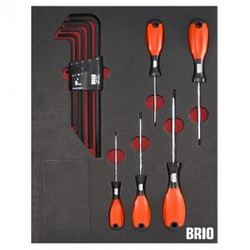 Brio Torx Seti ve Allen Seti Uzun 14 Parça Sünger Yataklı Tornavida