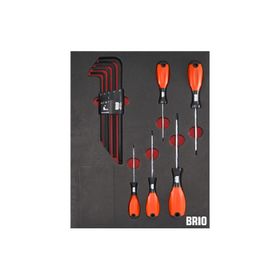 Brio Torx Seti ve Allen Seti Uzun 14 Parça Sünger Yataklı Tornavida