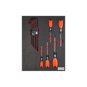 Brio Torx Seti ve Allen Seti Uzun 14 Parça Sünger Yataklı Tornavida