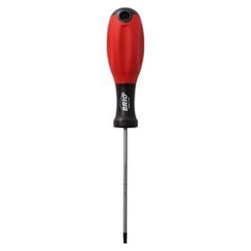 Brio TORX T10 Tornavida