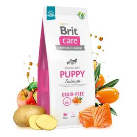 Brit Care 12 kg Skin Coat Deri ve Tüy Hassasiyeti Olan Yavru Köpekler İçin Tahılsız Somon Balıklı Kuru Mama