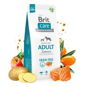 Brit Care Skin & Coat Tüm Irklar için Somonlu Tahılsız 12 kg Yetişkin Köpek Maması