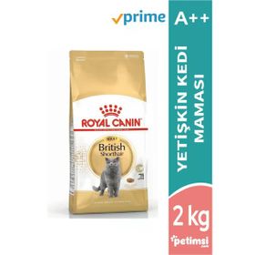 British Shorthair 2 kg Yetişkin Kuru Kedi Maması