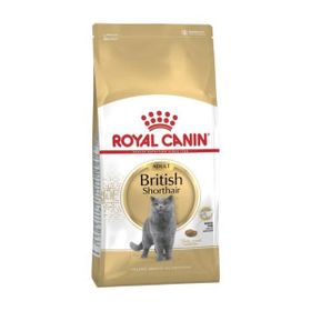 British Shorthair 2 kg Yetişkin Kuru Kedi Maması