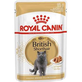British Shorthair Yaş 12x85 gr Kedi Maması
