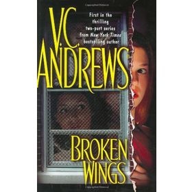 BROKEN WINGS - JAMES ROY