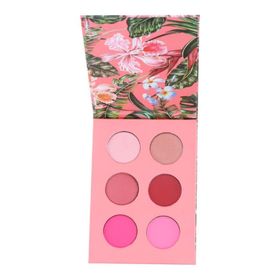 Brooklyn Timeless Beauty Pembe 6'lı Far Paleti