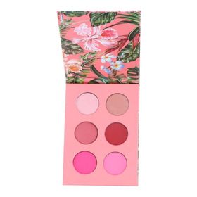 Brooklyn Timeless Beauty Pembe 6'lı Far Paleti