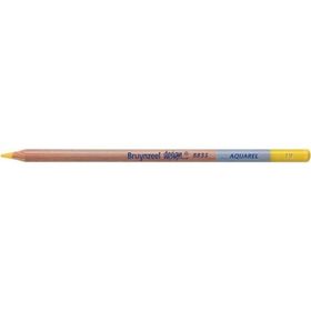 Bruynzeel Design Aquarel 19 Naples Yellow Kuru ve Sulu Boya Kalemi