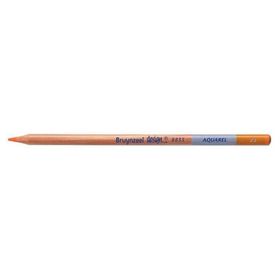 Bruynzeel Design Aquarel 23 Orange Kuru ve Sulu Boya Kalemi