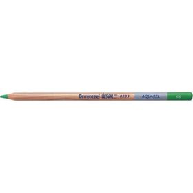 Bruynzeel Design Aquarel 66 Green Kuru ve Sulu Boya Kalemi
