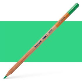 Bruynzeel Design Colour Green Kuru Boya Kalemi