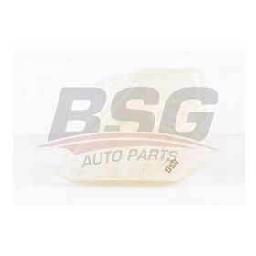 Bsg 30550010 Oto Benzinli Radyatör Ek Deposu