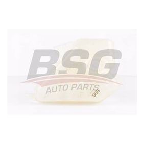 Bsg 30550010 Oto Benzinli Radyatör Ek Deposu