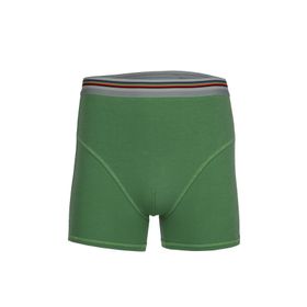 BSM 44503 Modal Çimen Yeşili Erkek Boxer