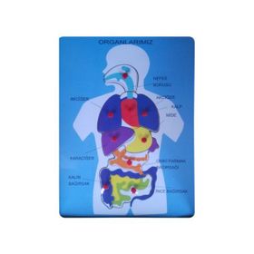 Bu-Bu Organlarımız Ahşap Puzzle