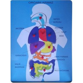 Bu-Bu Organlarımız Ahşap Puzzle