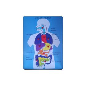Bu-Bu Organlarımız Ahşap Puzzle