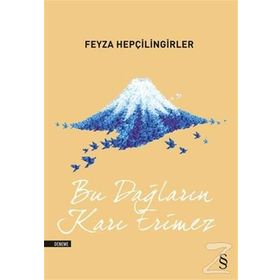 Bu Dağların Karı Erimez - Feyza Hepçilingirler