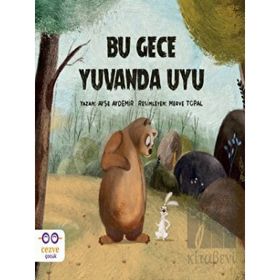 Bu Gece Yuvanda Uyu - Ayşe Aydemir