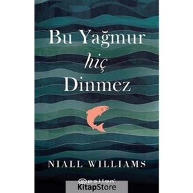 Bu Yağmur Hiç Dinmez - Niall Williams