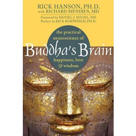 Buddha's Brain: The Practical Neuroscience of Happiness, Love, and Wisdom