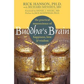 Buddha's Brain: The Practical Neuroscience of Happiness, Love, and Wisdom