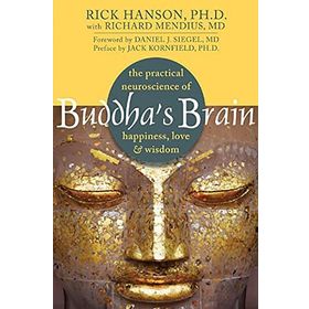 Buddha's Brain: The Practical Neuroscience of Happiness, Love, and Wisdom