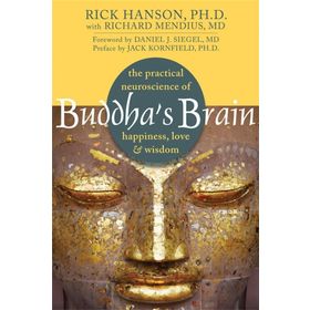 Buddha's Brain: The Practical Neuroscience of Happiness, Love, and Wisdom