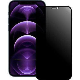 Bufalo iPhone 12 12 Pro ESD Anti Static Hayalet Privacy Cam Ekran Koruyucu