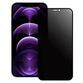 Bufalo iPhone 12 12 Pro ESD Anti Static Hayalet Privacy Cam Ekran Koruyucu