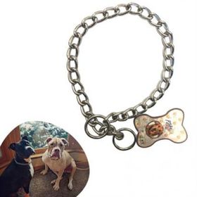 Buffer 65 cm Uzunlukta Zincir Model Köpek Boyun Tasması