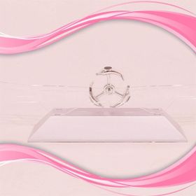 Buffer Dekoratif Masa Üstü Obje Manyetik Kinetik Orbital Dönen Yunuslar