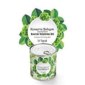Buffer Konserve Bahçem Evde Konservede İri Yapraklı Kıvırcık Yetiştirme Kiti