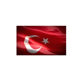 Buket 20x30 cm Türk Bayrağı