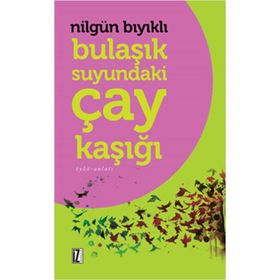 Bulaşık Suyundaki Çay Kaşığı - Nilgün Bıyıklı