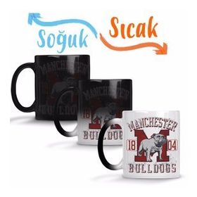 Bulldogs2 Pug Köpek Sihirli Porselen Kupa