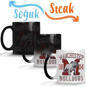 Bulldogs2 Pug Köpek Sihirli Porselen Kupa