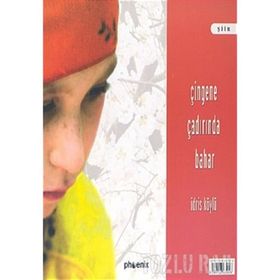 BULUTA ÇİZİLEN RESIM / ÇİNGENE ÇADIRINDA BAHAR - İDRİS KÖYLÜ