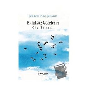 Bulutsuz Gecelerin Çiy Tanesi - Şebnem Koç Şenyurt