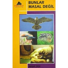 BUNLAR MASAL DEĞİL 1 - SERPIL ŞEN