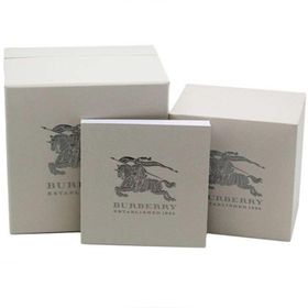 Burberry BU9145 Kadın Kol Saati