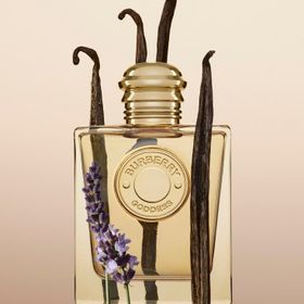 Burberry Goddess Eau De 100 ml Outlet Kadın Parfümü