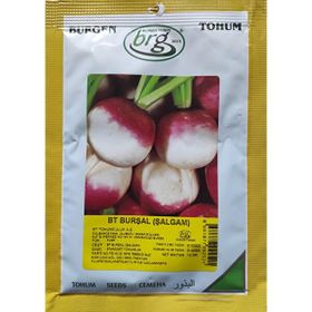 Burgen Tohum 10 gr Burşal Şalgam Totumu