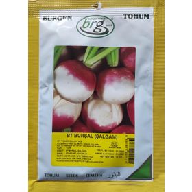 Burgen Tohum 10 gr Burşal Şalgam Totumu