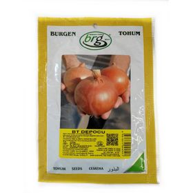 Burgen Tohum 10 gr Depocu İri Sarı Soğan Tohumu